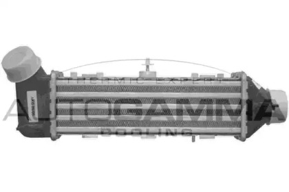 Теплообменник AUTOGAMMA 102407