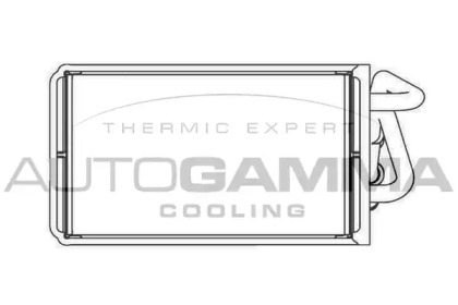 Теплообменник AUTOGAMMA 102443