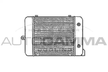 Теплообменник AUTOGAMMA 102487