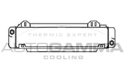 Теплообменник AUTOGAMMA 102498