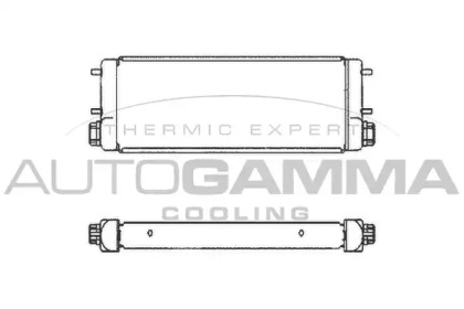 Теплообменник AUTOGAMMA 102503