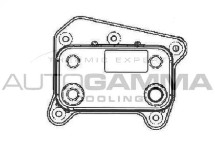 Теплообменник AUTOGAMMA 102511