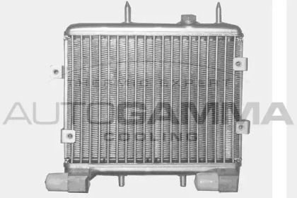 Теплообменник AUTOGAMMA 102513