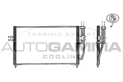 Конденсатор AUTOGAMMA 102566