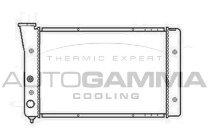 Теплообменник AUTOGAMMA 102576