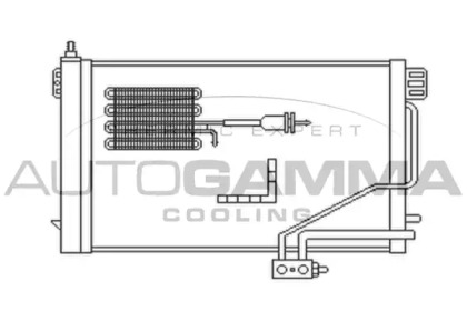 Конденсатор AUTOGAMMA 102702