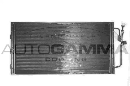 Конденсатор AUTOGAMMA 102743