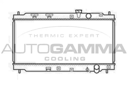 Теплообменник AUTOGAMMA 102855