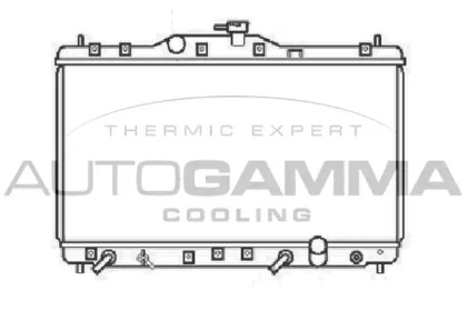 Теплообменник AUTOGAMMA 102856