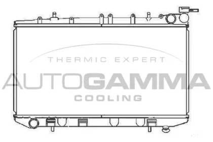 Теплообменник AUTOGAMMA 102934