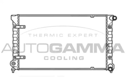 Теплообменник AUTOGAMMA 102969