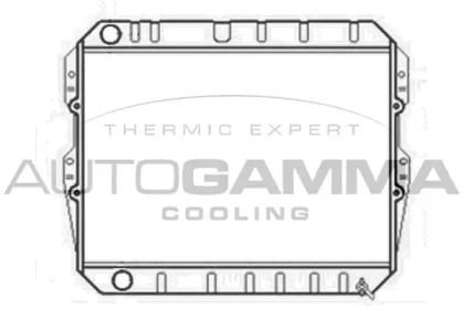 Теплообменник AUTOGAMMA 102974