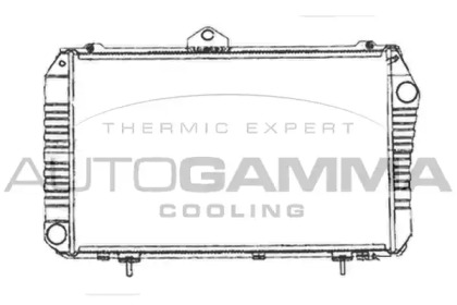 Теплообменник AUTOGAMMA 102976
