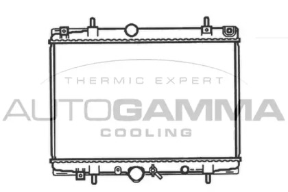 Теплообменник AUTOGAMMA 102995