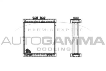 Теплообменник, отопление салона AUTOGAMMA 102996