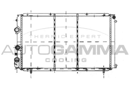 Теплообменник AUTOGAMMA 103002