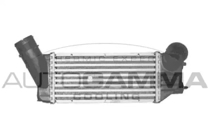 Теплообменник AUTOGAMMA 103003