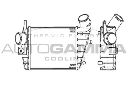 Теплообменник AUTOGAMMA 103011