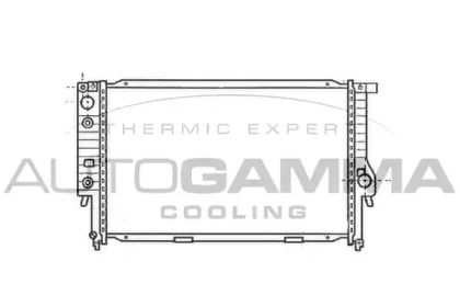 Теплообменник AUTOGAMMA 103035