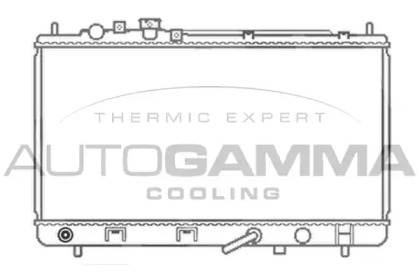 Теплообменник AUTOGAMMA 103057