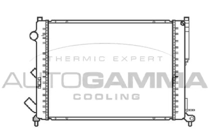 Теплообменник AUTOGAMMA 103066