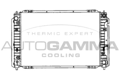 Теплообменник AUTOGAMMA 103075