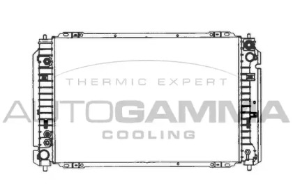 Теплообменник AUTOGAMMA 103076