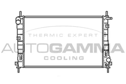 Теплообменник AUTOGAMMA 103101