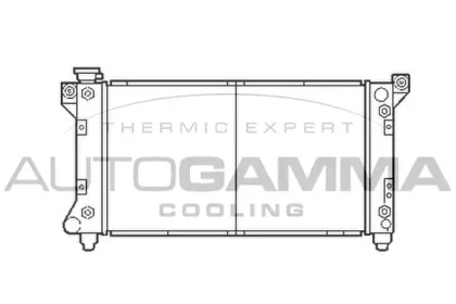 Теплообменник AUTOGAMMA 103135