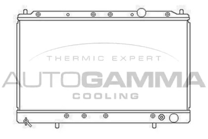 Теплообменник AUTOGAMMA 103162