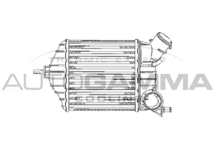 Теплообменник AUTOGAMMA 103166