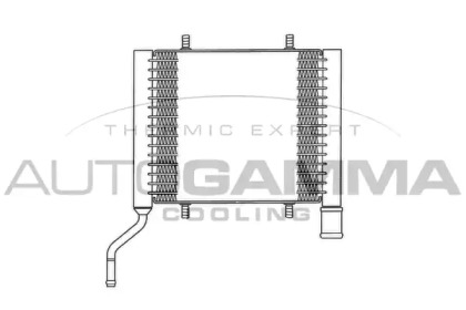 Теплообменник AUTOGAMMA 103168