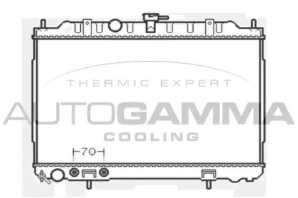 Теплообменник AUTOGAMMA 103348