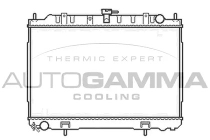 Теплообменник AUTOGAMMA 103349