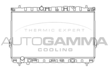 Теплообменник AUTOGAMMA 103362