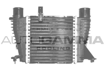 Теплообменник AUTOGAMMA 103381