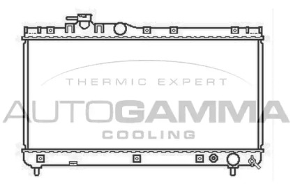 Теплообменник AUTOGAMMA 103416