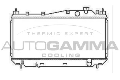 Теплообменник AUTOGAMMA 103434