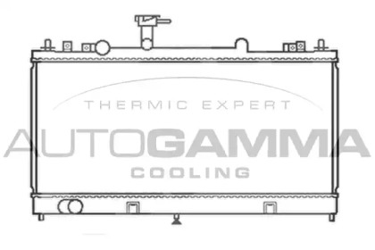 Теплообменник AUTOGAMMA 103440