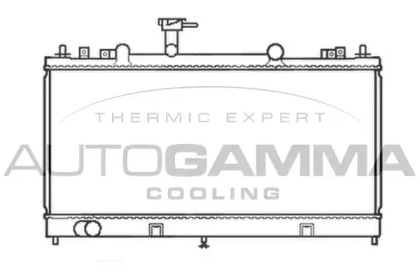 Теплообменник AUTOGAMMA 103442
