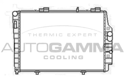 Теплообменник AUTOGAMMA 103468