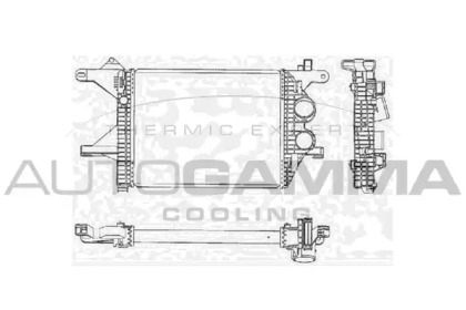 Теплообменник AUTOGAMMA 103472