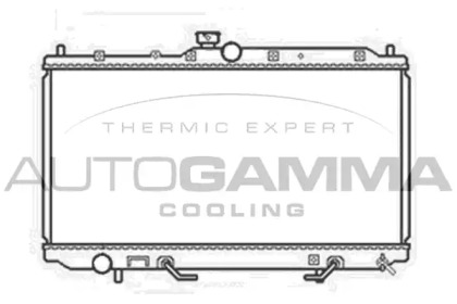 Теплообменник AUTOGAMMA 103478