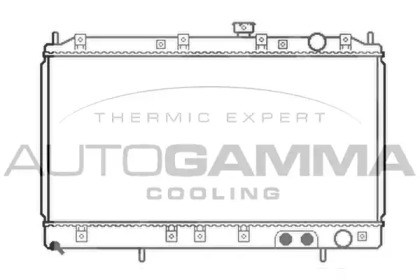 Теплообменник AUTOGAMMA 103479