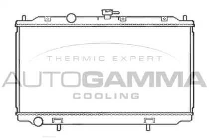 Теплообменник AUTOGAMMA 103497