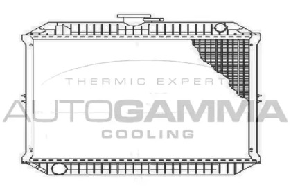 Теплообменник AUTOGAMMA 103507