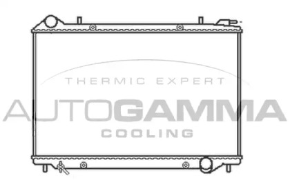 Теплообменник AUTOGAMMA 103512