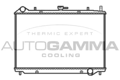 Теплообменник AUTOGAMMA 103515