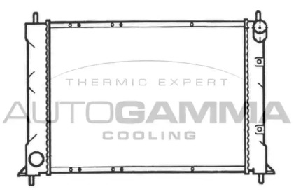 Теплообменник AUTOGAMMA 103550