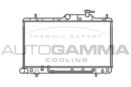 Теплообменник AUTOGAMMA 103558